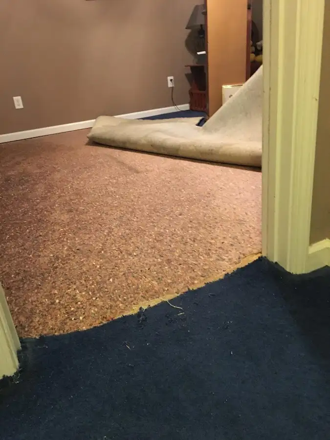 Carpet pad removal revealing water damage during Drying & Dehumidification in Reidsville
